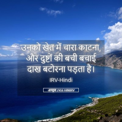Picture 05 - अय्यूब 24:6 HINIRV - उनको खेत में चारा - Bible Verse Picture