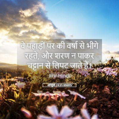 Picture 05 - अय्यूब 24:8 HINIRV - वे पहाड़ों पर की - Bible Verse Picture