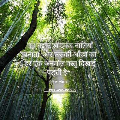 Picture 05 - अय्यूब 28:10 HINIRV - वह चट्टान खोदकर - Bible Verse Picture