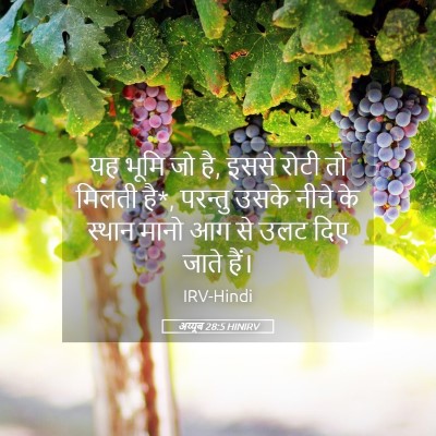 Picture 05 - अय्यूब 28:5 HINIRV - यह भूमि जो है, इससे - Bible Verse Picture