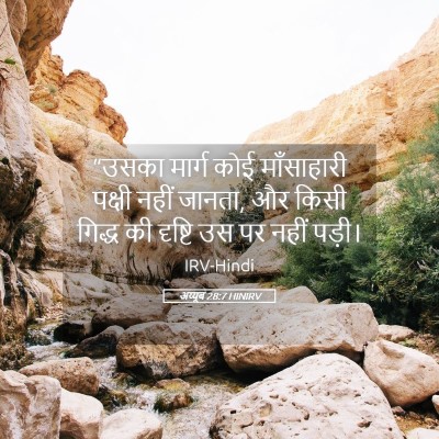 Picture 05 - अय्यूब 28:7 HINIRV - “उसका मार्ग कोई - Bible Verse Picture
