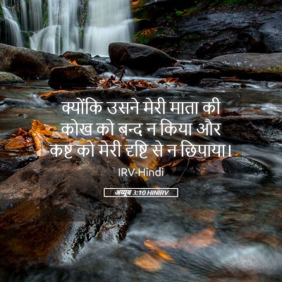 Picture 05 - अय्यूब 3:10 HINIRV - क्योंकि उसने मेरी - Bible Verse Picture