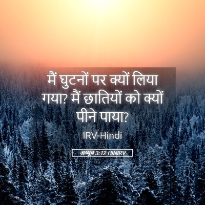 Picture 05 - अय्यूब 3:12 HINIRV - मैं घुटनों पर - Bible Verse Picture