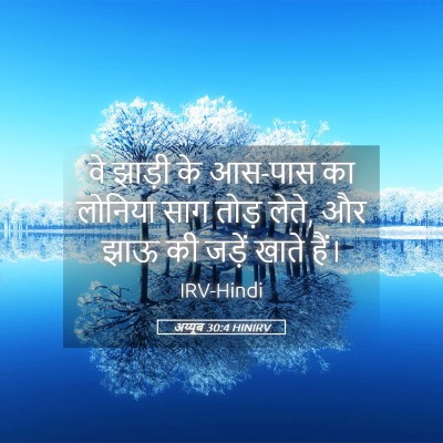 Picture 05 - अय्यूब 30:4 HINIRV - वे झाड़ी के आस-पास - Bible Verse Picture