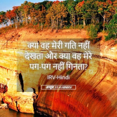 Picture 05 - अय्यूब 31:4 HINIRV - क्या वह मेरी गति - Bible Verse Picture