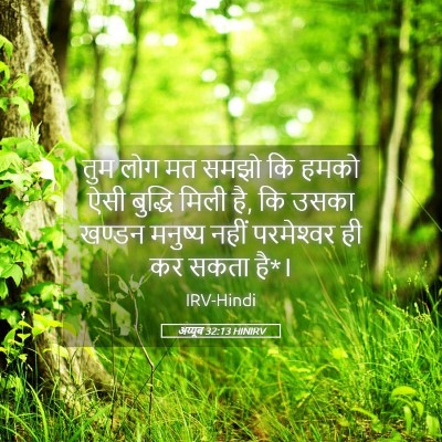 Picture 05 - अय्यूब 32:13 HINIRV - तुम लोग मत समझो कि - Bible Verse Picture