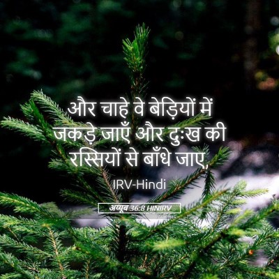 Picture 05 - अय्यूब 36:8 HINIRV - और चाहे वे - Bible Verse Picture