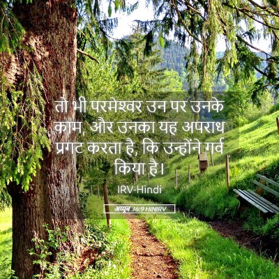Picture 05 - अय्यूब 36:9 HINIRV - तो भी परमेश्‍वर उन - Bible Verse Picture