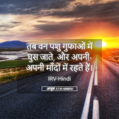 Picture 05 - अय्यूब 37:8 HINIRV - तब वन पशु गुफाओं - Bible Verse Picture
