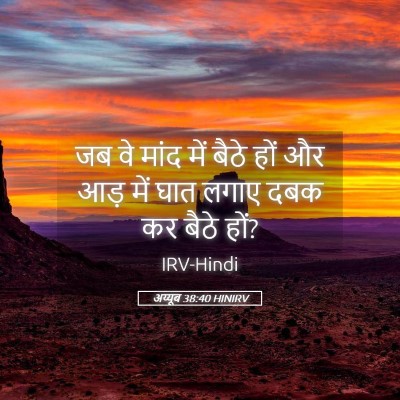 Picture 05 - अय्यूब 38:40 HINIRV - जब वे मांद में बैठे - Bible Verse Picture