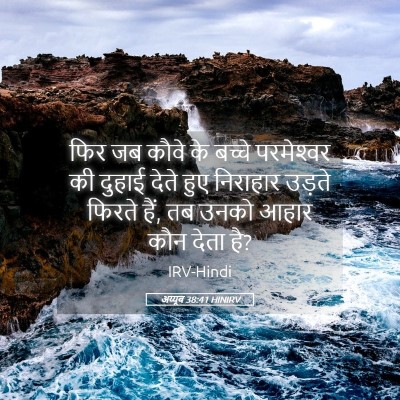 Picture 05 - अय्यूब 38:41 HINIRV - फिर जब कौवे के - Bible Verse Picture