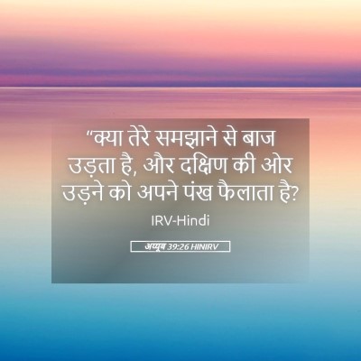 Picture 05 - अय्यूब 39:26 HINIRV - “क्या तेरे समझाने - Bible Verse Picture