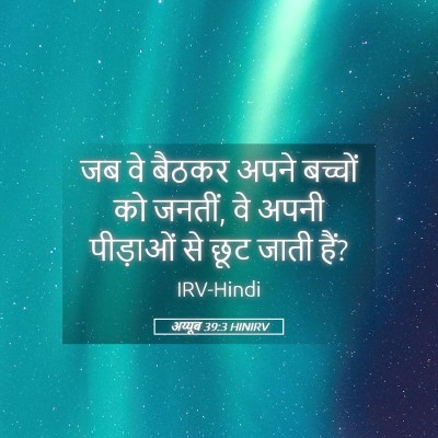 Picture 05 - अय्यूब 39:3 HINIRV - जब वे बैठकर अपने - Bible Verse Picture