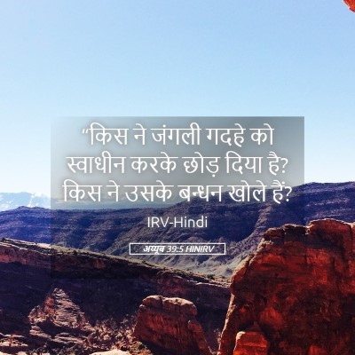 Picture 05 - अय्यूब 39:5 HINIRV - “किस ने जंगली गदहे - Bible Verse Picture