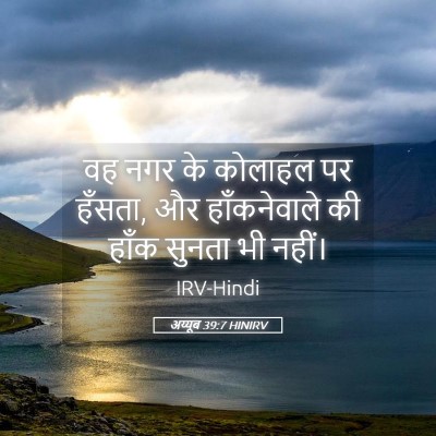 Picture 05 - अय्यूब 39:7 HINIRV - वह नगर के कोलाहल पर - Bible Verse Picture