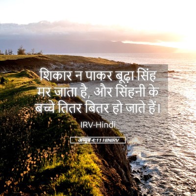 Picture 05 - अय्यूब 4:11 HINIRV - शिकार न पाकर बूढ़ा - Bible Verse Picture