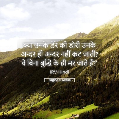 Picture 05 - अय्यूब 4:21 HINIRV - क्या उनके डेरे की - Bible Verse Picture