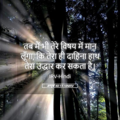 Picture 05 - अय्यूब 40:14 HINIRV - तब मैं भी तेरे विषय - Bible Verse Picture