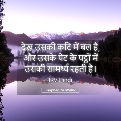 Picture 05 - अय्यूब 40:16 HINIRV - देख उसकी कटि में बल - Bible Verse Picture