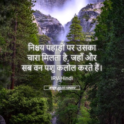 Picture 05 - अय्यूब 40:20 HINIRV - निश्चय पहाड़ों पर - Bible Verse Picture
