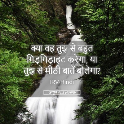 Picture 05 - अय्यूब 41:3 HINIRV - क्या वह तुझ से बहुत - Bible Verse Picture