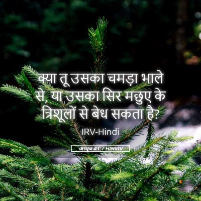 Picture 05 - अय्यूब 41:7 HINIRV - क्या तू उसका चमड़ा - Bible Verse Picture