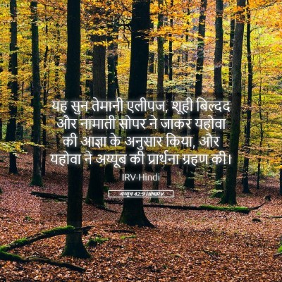 Picture 05 - अय्यूब 42:9 HINIRV - यह सुन तेमानी - Bible Verse Picture