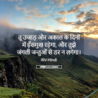 Picture 05 - अय्यूब 5:22 HINIRV - तू उजाड़ और अकाल के - Bible Verse Picture