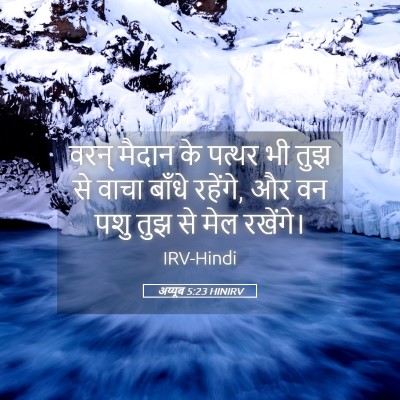Picture 05 - अय्यूब 5:23 HINIRV - वरन् मैदान के - Bible Verse Picture