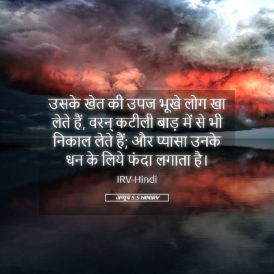 Picture 05 - अय्यूब 5:5 HINIRV - उसके खेत की उपज - Bible Verse Picture