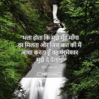 Picture 05 - अय्यूब 6:8 HINIRV - “भला होता कि मुझे - Bible Verse Picture