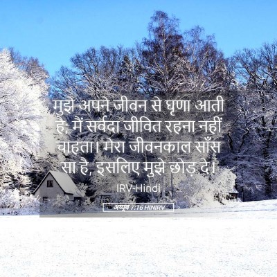 Picture 05 - अय्यूब 7:16 HINIRV - मुझे अपने जीवन से - Bible Verse Picture