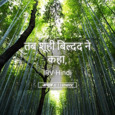 Picture 05 - अय्यूब 8:1 HINIRV - तब शूही बिल्दद ने - Bible Verse Picture