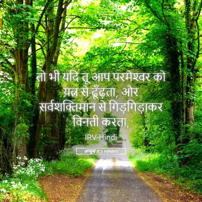 Picture 05 - अय्यूब 8:5 HINIRV - तो भी यदि तू आप - Bible Verse Picture