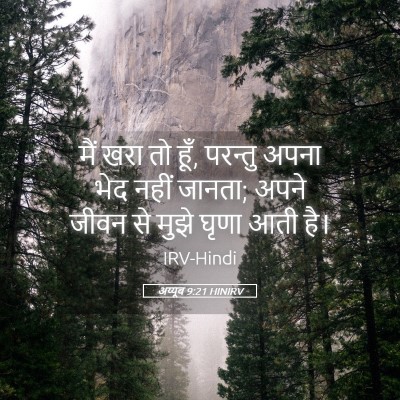 Picture 05 - अय्यूब 9:21 HINIRV - मैं खरा तो हूँ, - Bible Verse Picture