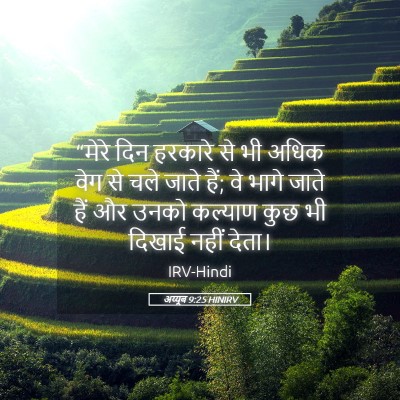Picture 05 - अय्यूब 9:25 HINIRV - “मेरे दिन हरकारे - Bible Verse Picture
