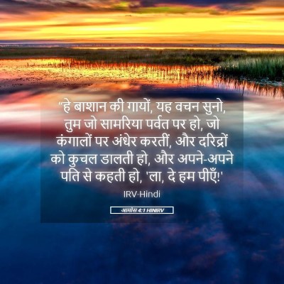 Picture 05 - आमोस 4:1 HINIRV - “हे बाशान की गायों, - Bible Verse Picture