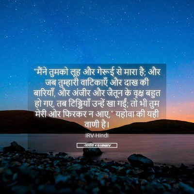 Picture 05 - आमोस 4:9 HINIRV - “मैंने तुमको लूह - Bible Verse Picture