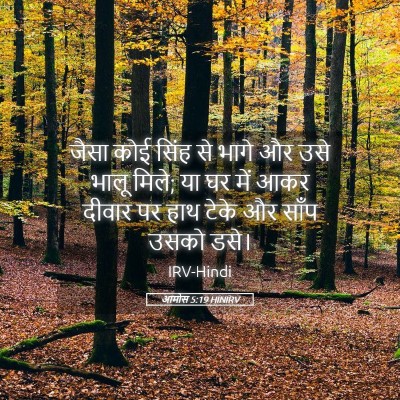 Picture 05 - आमोस 5:19 HINIRV - जैसा कोई सिंह से - Bible Verse Picture