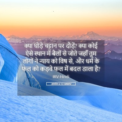 Picture 05 - आमोस 6:12 HINIRV - क्या घोड़े चट्टान - Bible Verse Picture