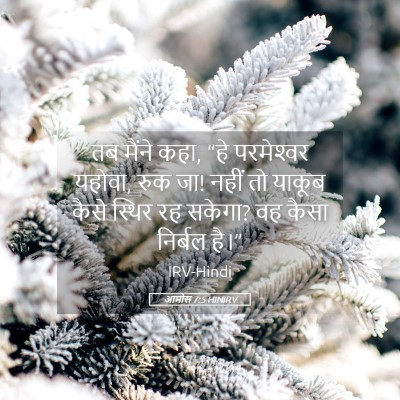 Picture 05 - आमोस 7:5 HINIRV - तब मैंने कहा, “हे - Bible Verse Picture