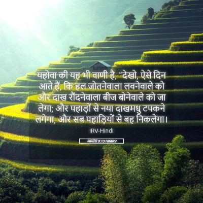 Picture 05 - आमोस 9:13 HINIRV - यहोवा की यह भी वाणी - Bible Verse Picture