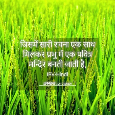 Picture 05 - इफिसियों 2:21 HINIRV - जिसमें सारी रचना - Bible Verse Picture