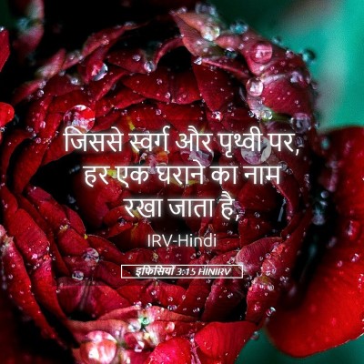 Picture 05 - इफिसियों 3:15 HINIRV - जिससे स्वर्ग और - Bible Verse Picture