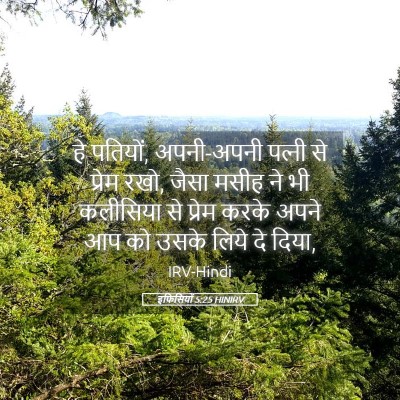 Picture 05 - इफिसियों 5:25 HINIRV - हे पतियों, - Bible Verse Picture