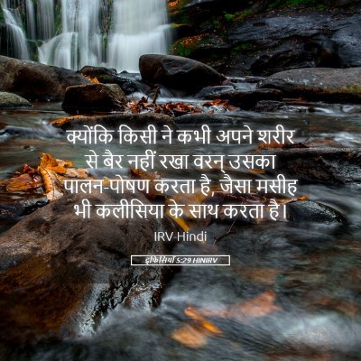 Picture 05 - इफिसियों 5:29 HINIRV - क्योंकि किसी ने - Bible Verse Picture