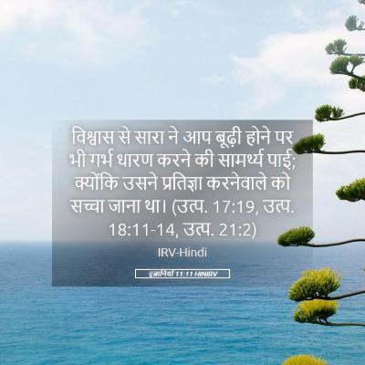 Picture 05 - इब्रानियों 11:11 HINIRV - विश्वास से सारा ने - Bible Verse Picture