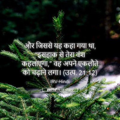 Picture 05 - इब्रानियों 11:18 HINIRV - और जिससे यह कहा गया - Bible Verse Picture