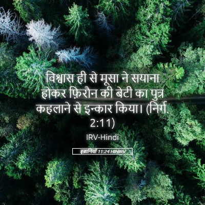 Picture 05 - इब्रानियों 11:24 HINIRV - विश्वास ही से मूसा - Bible Verse Picture