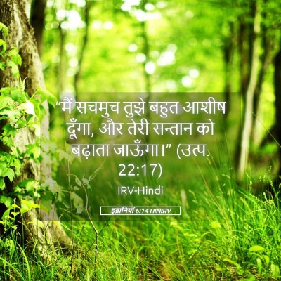 Picture 05 - इब्रानियों 6:14 HINIRV - “मैं सचमुच तुझे - Bible Verse Picture